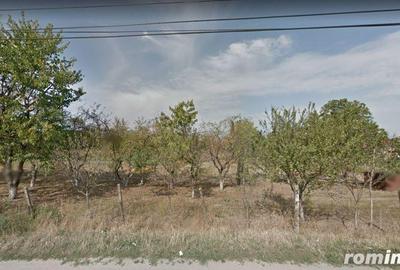 Teren extravilan, Sebes, Jud. Alba -id 9910 - 2