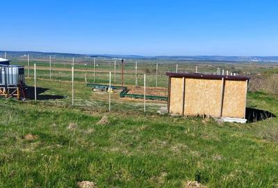 Teren 1500mp extravilan spre vanzare  Poplaca - 1