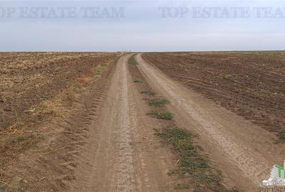 Oferim spre vanzare 6 loturi de teren extravilan (agricol) in Petrachioaia ILFOV Oferim spre vanzare 6 loturi de teren extravilan (agricol) in Petrachioaia ILFOV - 14