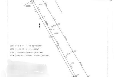 Teren intravilan Aricestii Rahtivani - 1