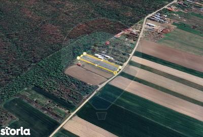 Teren de 2200 mp, în Bulbucata - 4