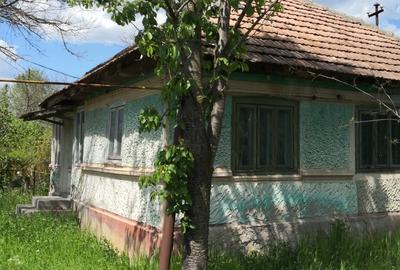 Casă  și teren de vânzare Pâclele, Jud. Buzău - 4