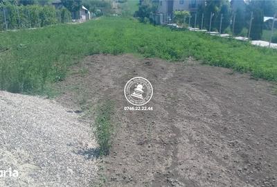 Teren de 4467 mp, în Lețcani - 5