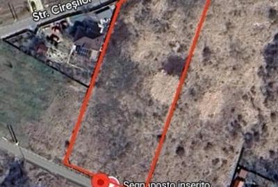 Teren intravilan 500 mp – Tomești, Chicerea – utilități, parcelat - 6