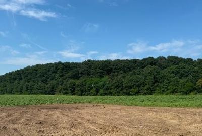 Teren Construcții intravilan de 550 mp, în Corbeanca - 2