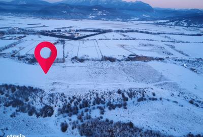 Teren de 5000 mp, în Pănicel - 3