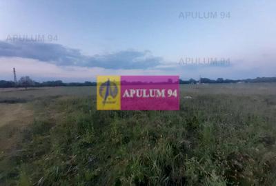 Teren Construcții intravilan de 3820 mp, în 1 Decembrie - 22