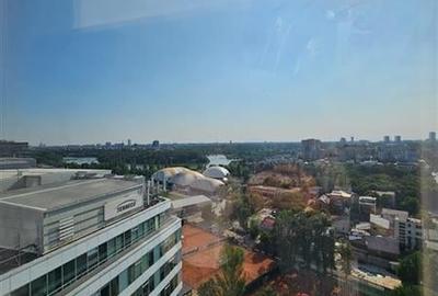 Inchiriere birouri - Floreasca Tower - 516 mp - zona Promenada - 9