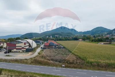 Teren de 440 mp, în Baciu - 10