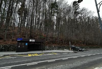 Teren Construcții intravilan de 1700 mp, în Castelul Peleș - 15