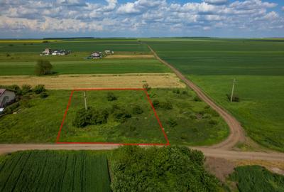 FRUMUSANI - POSTAVARI, TEREN 1500 MP, FRONT 30 M ! - 7