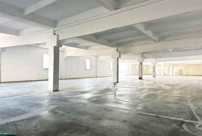 Inchiriere Hale Industriale in Aluni?, Arad 250 mp-1.500 mp - 1