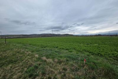 Spațiu comercial, în Șard - 2