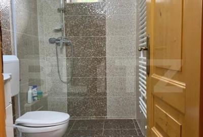 Cabana, 3 camere, 80 mp, localizata la 100 km de Timisoara - 7