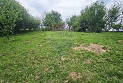 Teren Construcții intravilan de 5350 mp, în Dobreni - 3