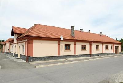 Resedinta cu:foisor,2 garaje, crama tip restaurant+garsoniera lux ... - 3