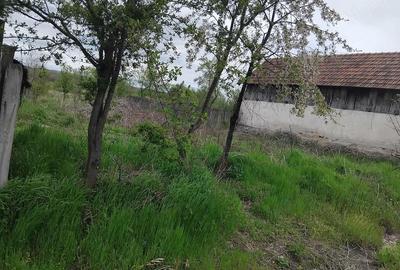 Teren de 1400 mp, în Telești - 3