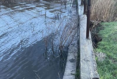 Teren de 120000 mp, în Drăgănești-Vlașca - 1