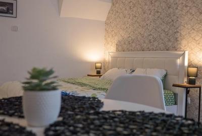 Apartament cu o camera zona Centrala - 7