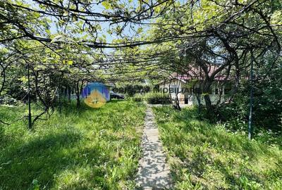 Casa traditionala Bodesti - 5