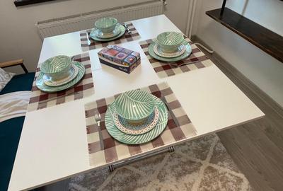 Apartament cu 2 camere semidecomandat, mobilat în City Park Mall - 10