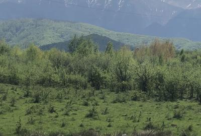 Spațiu comercial, în Racovița - 5