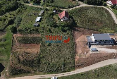 Oportunitate de Investiție: Teren Intravilan Construibil în Zona Mices - 6