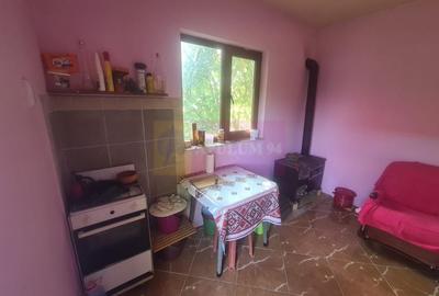 Vila de vanzare in Brebu  - Zona Brebu Megiesesc - 24
