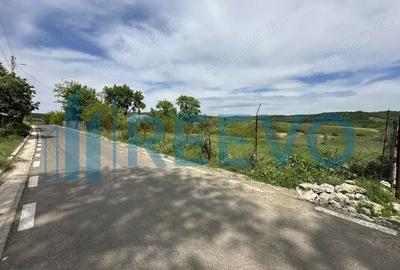 Teren de vanzare, Sat Valea Mare, Com. Ro?iori, Bacau - 12