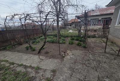 Casă cu Teren 1400 Mp în Dumitrești - 1