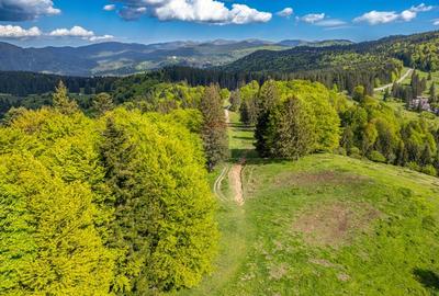 Teren intravilan cu potential turistic si de agrement, zona Trei Brazi - 2