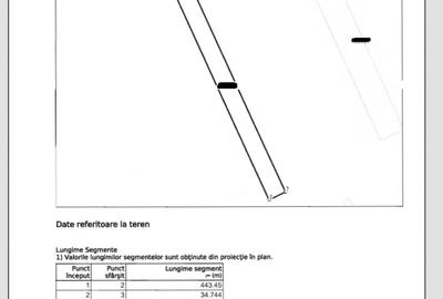 Teren agricol extravilan de 16000 mp, în Bucovăț (Remetea Mare) - 1
