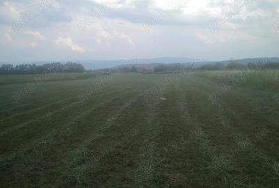 Teren de 4100 mp, în Pricaz - 2