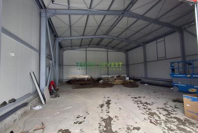 Hala de depozitare - zona Theodor Pallady - 12