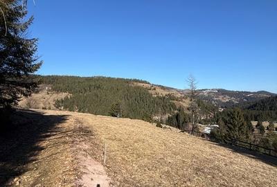 Teren Construcții intravilan de 12500 mp, în Galbena - 9