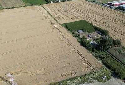 Teren 7653mp cu PUZ aprobat DN Arad Oradea - 4