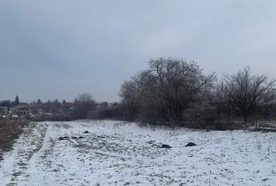 Teren Construcții extravilan de 35000 mp, în Petrăchioaia - 5