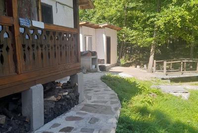 Casă cu 2 camere cu Teren 850 Mp în Central - 1