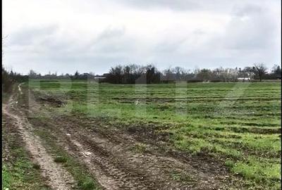 Spațiu comercial, în Sălcuța