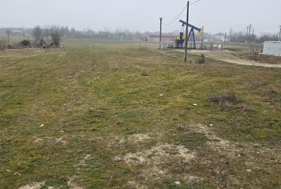 Teren de 2673 mp, în Dragomirești - 6