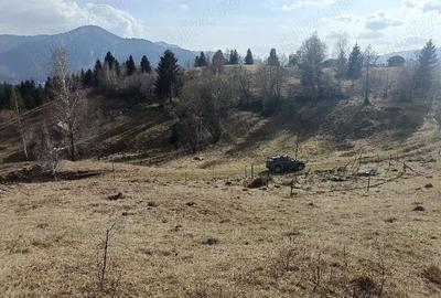 Teren de 3200 mp, în Dâmbovicioara - 3