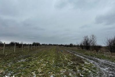 Teren de 10000 mp, în Coșoveni - 3