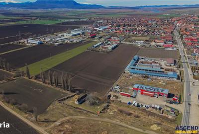 Teren de 30000 mp, în Hălchiu