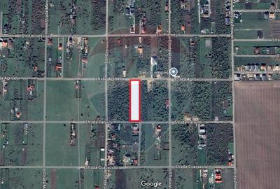 Teren intravilan de 4,147 mp, Sanpetru, zona livada!