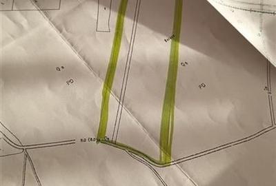 Padure de vanzare zona Comuna Draganesti sat Hatcarau - 8