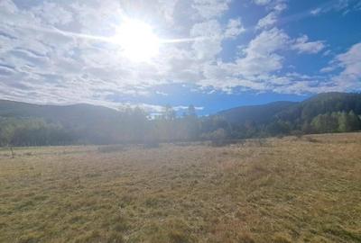GM53438 Oportunitate investitie in Muntii Fagaras, teren 18000mp - 3