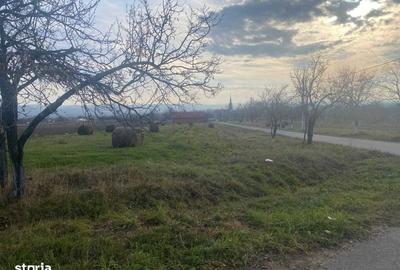 Teren de 3346 mp, în Lugașu de Jos - 1