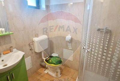 Investitie livada cu 116 pomi fructiferi in Comuna Livada - 11