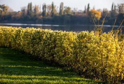 Apartament cu 2 camere decomandat în Pantelimon - 7