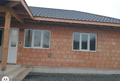 COPALNIC la DN BM-TG.Lapus casa noua cu 18 ari pt.scop comercial - 2